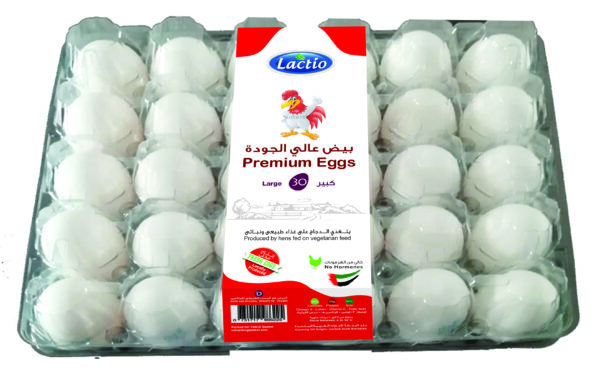 Lactio Premium Eggs Large 30 Pcs